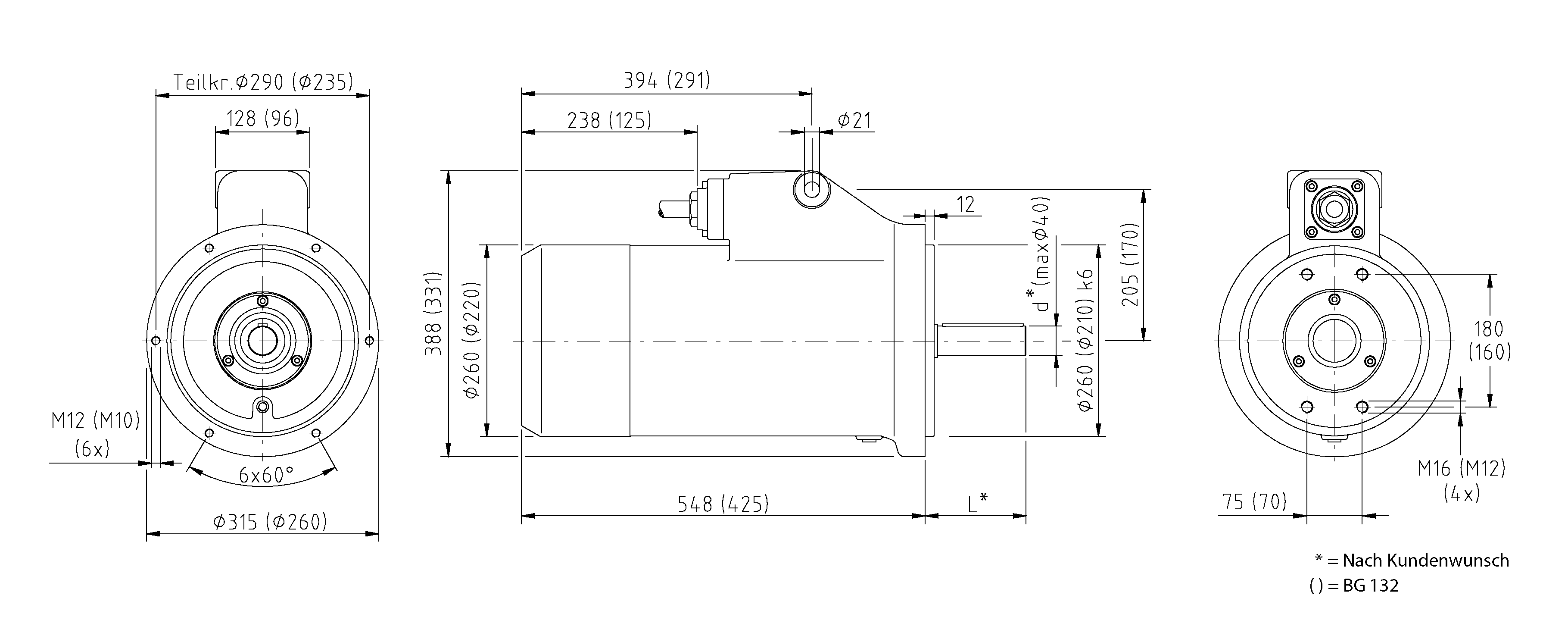 Energysaving TSRM submersible motors streisal GmbH Agitators and